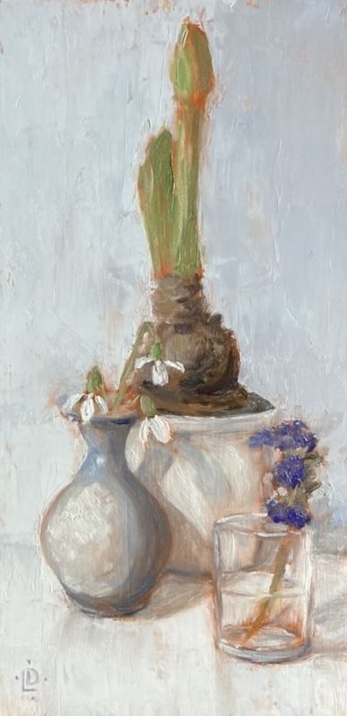 Snowdrops And Emerging Amaryllis